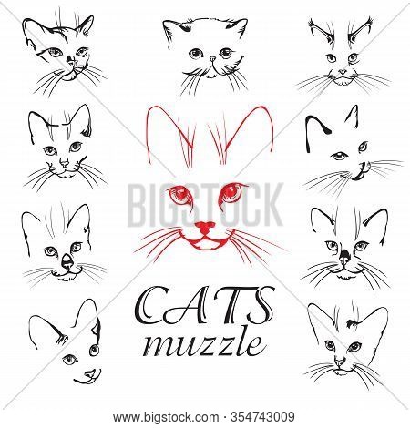 Set Of Abstract Vector Illustration Of Cats Muzzle Set.  Abstract Animal Icon Label. Flat Illustrati