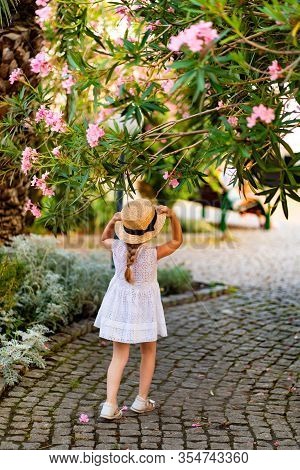 Rear View A Little Girl In A White Dress And Hat On The Branches Of A Blooming Rose Tree