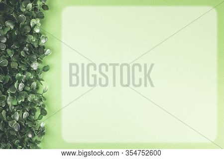 Green Grass On Green Background. Starweed -winterweed, Chickweed, Satinflower, Stellaria Media- Plan