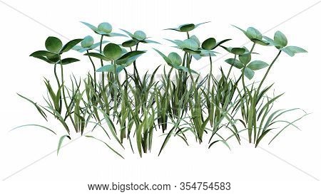 3D Rendering Green Clover On White