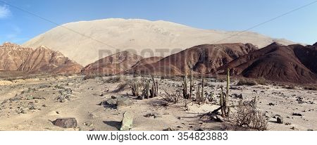 Cerro Blanco Sand Dune With Cactuses, One Of The Highest Dunes On The World, Located Near Nasca Or N
