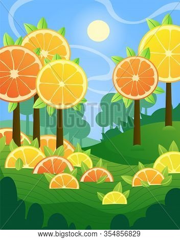 Stylized Sunny Landscape With Citrus Trees. Vector Illustration Of Orange And Lemon Trees Garden.
