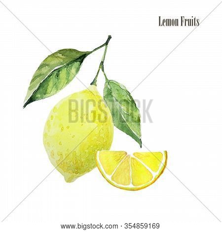 Fresh Lemon Fruit Arrangement Illustration. Botanical Watercolor Print. Healthy Organic Food Product