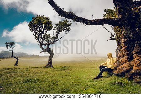 Woman resting near an Ancient tree and enjoying the view