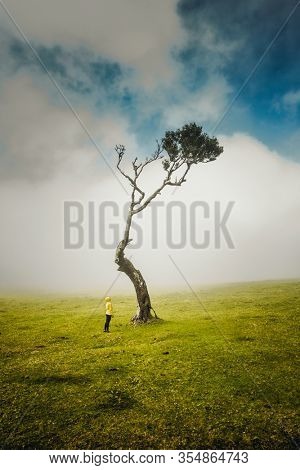 Traveller woman feeling the power of the nature at an ancient forest
