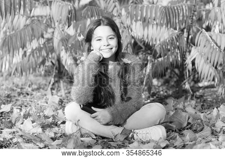 Little Child Enjoy Learning At Backyard Or Park. Kid Study With Book. Self Education Concept. Hobby 