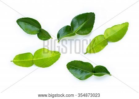 Bergamot Kaffir Lime Leaves Herb Fresh Ingredient Isolated On White Background.