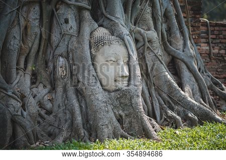 The Head Of The Buddha At The Root Of The Pipal Tree Inside Wat Mahathat Temple In Ayutthaya Provinc