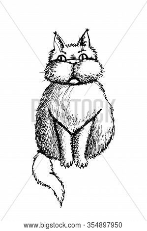A Fluffy Fat Cat Is Sitting On The Floor. He Has A Serious Look, Large Plump Cheeks, Thick Hair, Ear