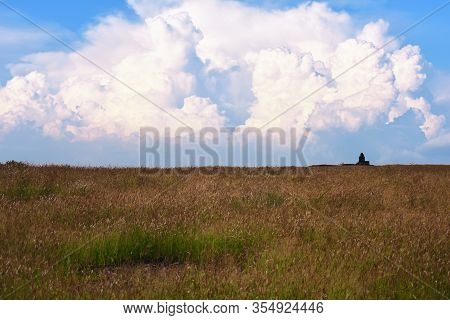 View Of The Field With Long Yellow Grass And Beautiful Clouds