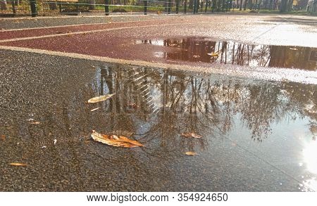 Sports Ground In Autumn With Fallen Leaves And A Puddle. Reflection In A Puddle On A Sunny Day On Th