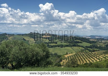 Rural Landscape At Summer Near Monterubbiano, Fermo, Marches, Italy