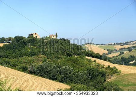 Rural Landscape At Summer Near Mogliano, Macerata, Marches, Italy