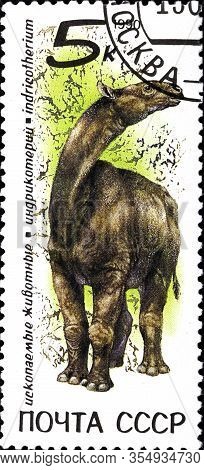 02 11 2020 Divnoe Stavropol Territory Russia Postage Stamp Ussr 1990 Fossil Animals Indricotherium A