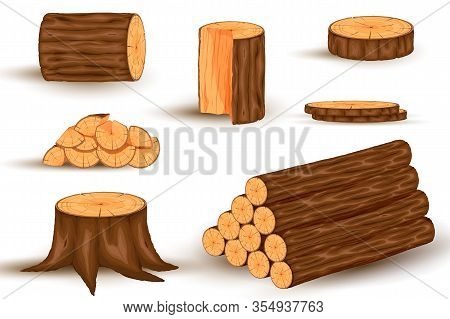 Wood Material And Manufactured Products Set With Tree Trunk Branches Planks. Vector Isolated Set