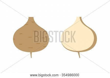 Vector Cartoon Style Jicama, Root Vegetable Icons, Illustration.