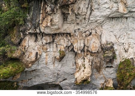 Guilin, China - May 10, 2010: Along Li River. Closeup Of Green Foliage And Hanging White, Brown And 