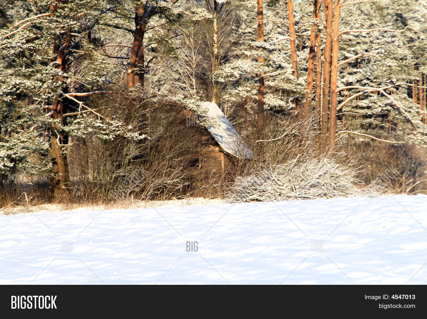 Image Preview