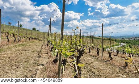 The Landscapes Of The Vineyards And The Countryside Of The Piedmontese Langhe Near Barolo And Monfor