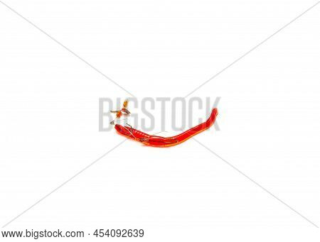 Rigged Red Midget Crawler Plastic Lure With Propeller Blade, Beads Flash And Weedguards Protecting H