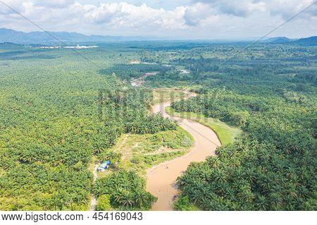 Muddy Brown Jungle Stream Meanders Through The Untouched Rain Forest At Bentong, Pahang, Malaysia. A