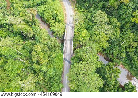 Aerial View Top Down Directly Above Lush Rain Forest Trees At Malaysia. Jungle Road With Bridge Over