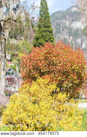 Weesen, Switzerland, April 13, 2022 Plantations In A Little Park In Spring Time