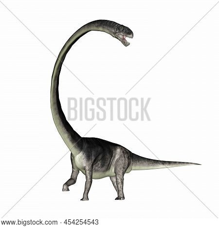 Omeisaurus Dinosaur Roaring With Its Long Neck - 3d Render