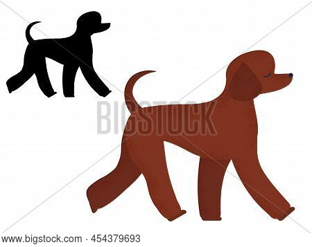 Poodle Dog Breed In Cartoon And Outline