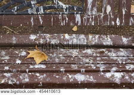 Brown Wooden Bench With Bird Shit. Bird Droppings On A Bench In A Park Or Street, As A Symbol Of The