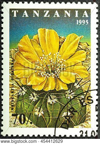 Tanzania - Circa 1995: A Stamp Printed In The Tanzania Shows Weingartia Fidaiana, Cactus Flower.