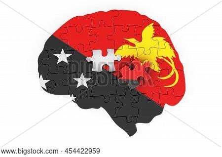 Papuan New Guinean Flag Painted On The Brain From Puzzles. Scientific Research And Education In Papu