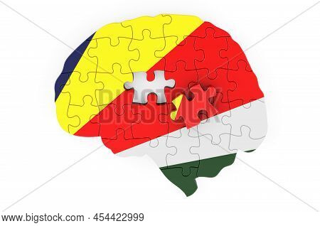 Seychelloise Flag Painted On The Brain From Puzzles. Scientific Research And Education In Seychelles
