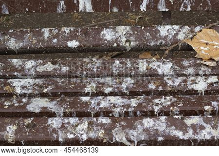 Brown Wooden Bench With Bird Shit. Bird Droppings On A Bench In A Park Or Street, As A Symbol Of The
