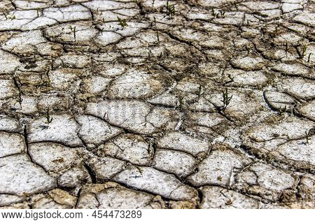 Close-up Of A Cracked Ground Of A Dried Lake On Steppe Near The Sea Of Azov, Ukraine