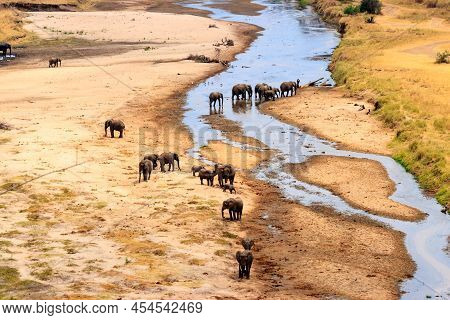Herd Of African Elephants At The Tarangire River In Tarangire National Park, Tanzania. View From Abo