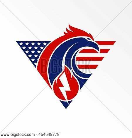 Eagle Head, Triangle, American Flag, Power Or Electric, Gas Or Flame Image Graphic Icon Logo Design 