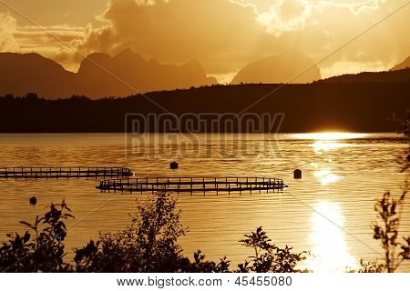 Norvegia Twilight