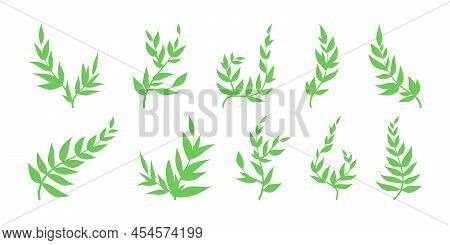 Set Green Branches With Leaves Spring Decorative Element, Plant Silhouettes. Natural Decorative Illu