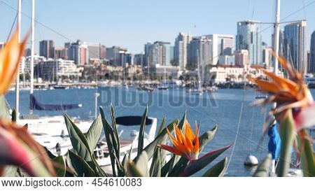 Yachts In Marina And Downtown City Skyline, San Diego Cityscape, California Coast, Usa. Highrise Sky