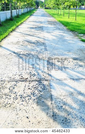 Cement road