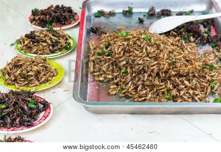 Stekt insekter