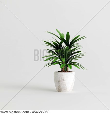 3d Illustration Of Houseplants Isolated On White Background