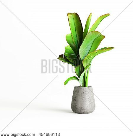 3d Illustration Of Concrete Houseplants Isolated On White Background