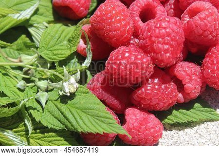Ripe Rapberries And Raspberry Blossoms On Stone Floor