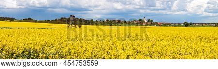 Rapeseed, Canola Or Colza Yellow Field In Latin Brassica Napus With Beautiful Clouds On Sky, Rape Se