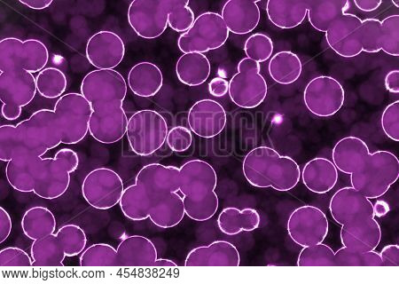 Creative Amazing Pink Many Biological Primitive Organisms Digital Art Background Texture Illustratio