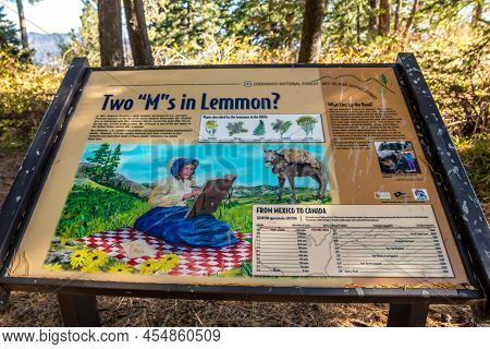 Mt Lemmon, Az, Usa - Oct 30, 2021: Two M In Lemmon