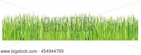 Green Grass Isolated Transparent Background. Horizontal Green Lawn Vector Set. Realistic Illustratio