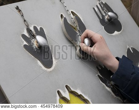 Kid Is Identifying Animal Tracks, Close Up. Studying The Shape Of Different Animal Footprints. Trace